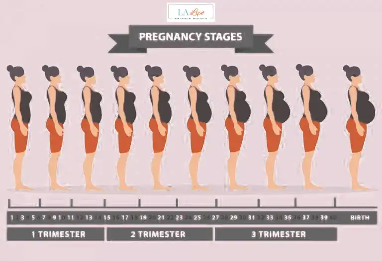 First Trimester (Weeks 1–12): Early Changes You Might Not Notice Uxbridge Moor